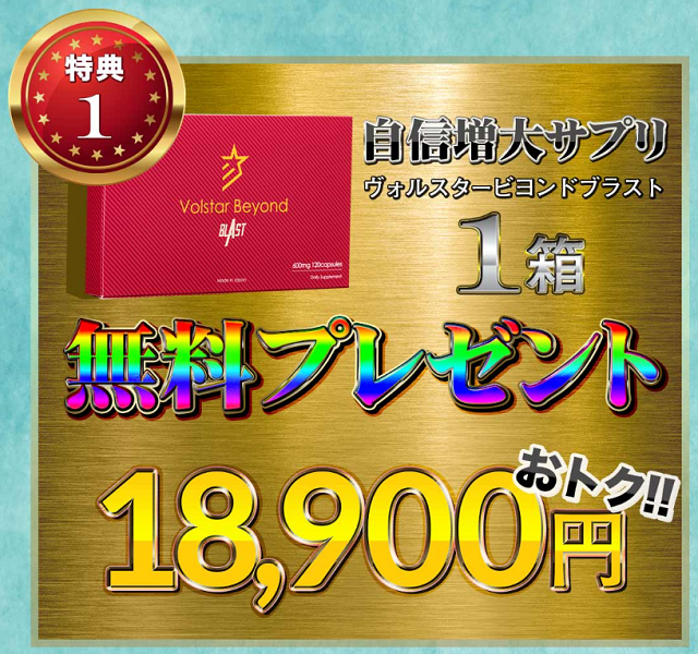 120粒×4箱 ヴォルスタービヨンドブラスト☆自信増大サプリメント - arkhoediciones.com